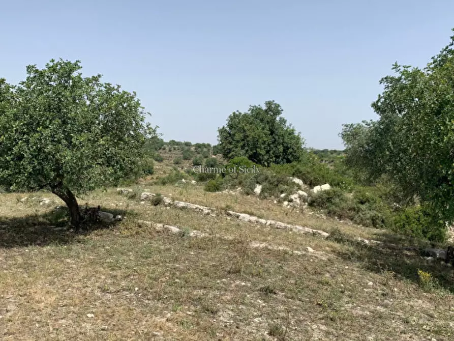 Immagine 22 di Rustico / casale in vendita  in Contrada Bellocozzo a Ragusa