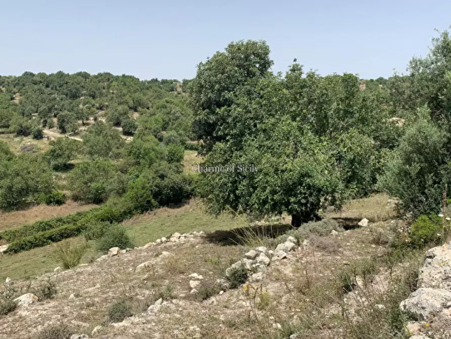 Immagine 24 di Rustico / casale in vendita  in Contrada Bellocozzo a Ragusa