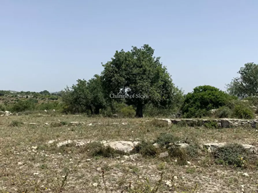 Immagine 25 di Rustico / casale in vendita  in Contrada Bellocozzo a Ragusa
