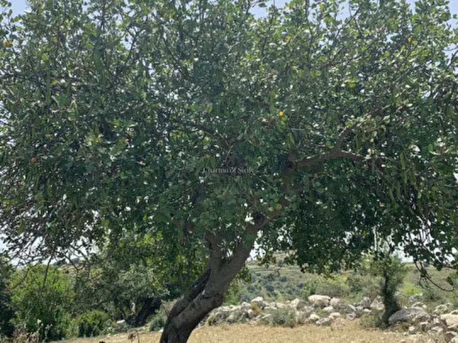 Immagine 26 di Rustico / casale in vendita  in Contrada Bellocozzo a Ragusa