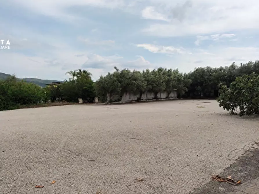 Immagine 4 di Attività commerciale in vendita  in c.da Cavoni snc a Palagonia