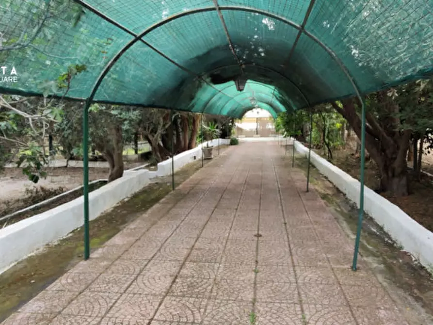 Immagine 5 di Attività commerciale in vendita  in c.da Cavoni snc a Palagonia