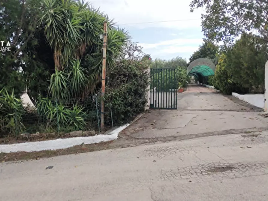 Immagine 7 di Attività commerciale in vendita  in c.da Cavoni snc a Palagonia