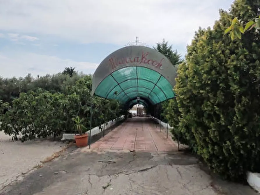 Immagine 14 di Attività commerciale in vendita  in c.da Cavoni snc a Palagonia