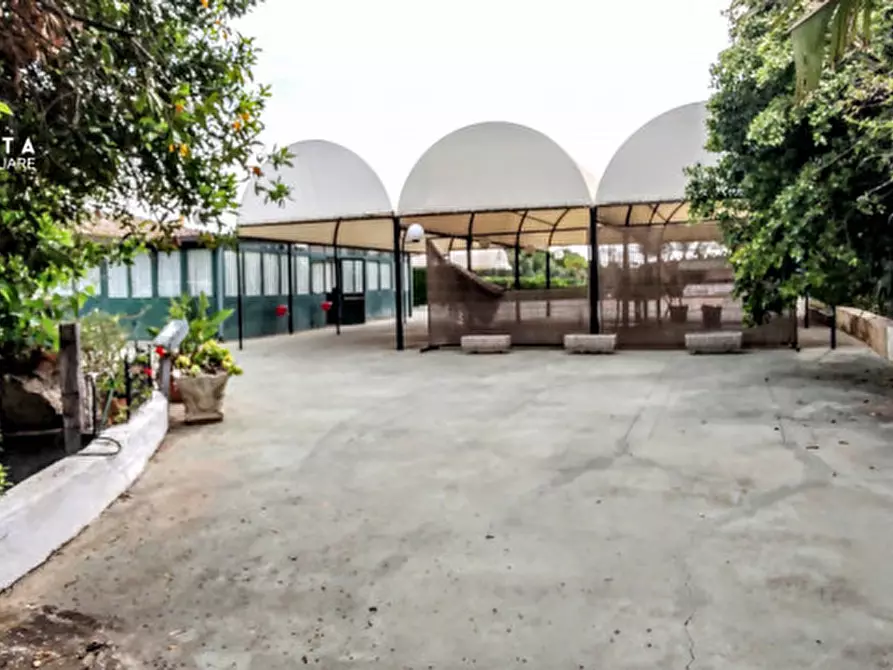 Immagine 18 di Attività commerciale in vendita  in c.da Cavoni snc a Palagonia