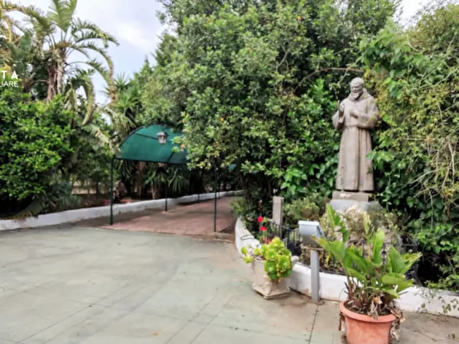 Immagine 19 di Attività commerciale in vendita  in c.da Cavoni snc a Palagonia