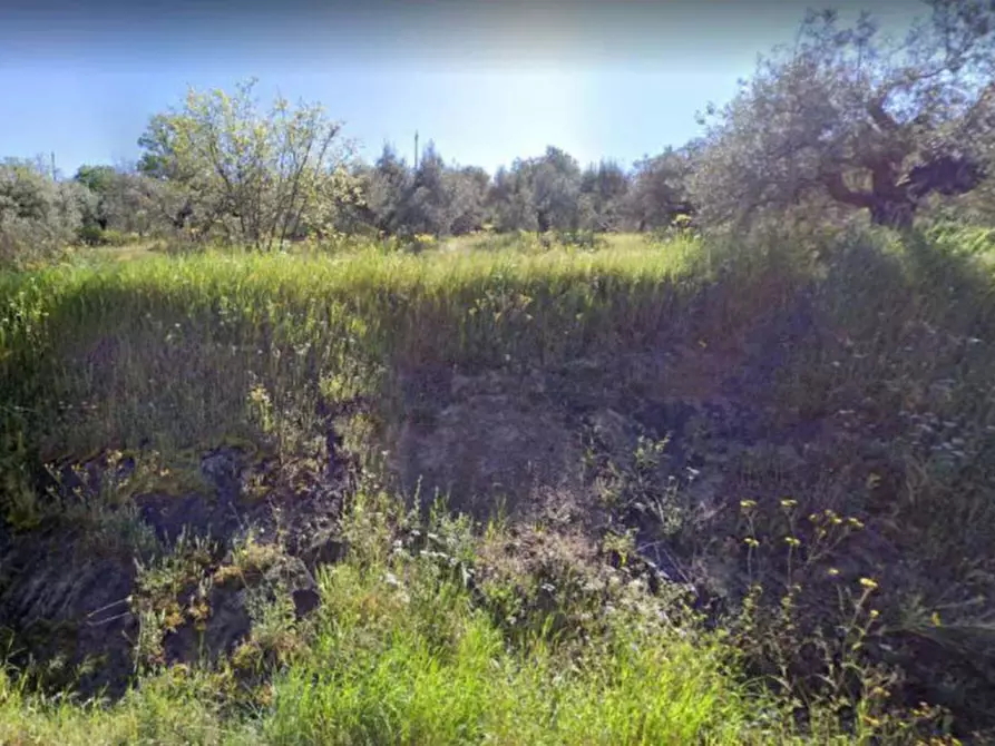 Immagine 1 di Terreno in vendita  in Via dei Mandorli a Panicale