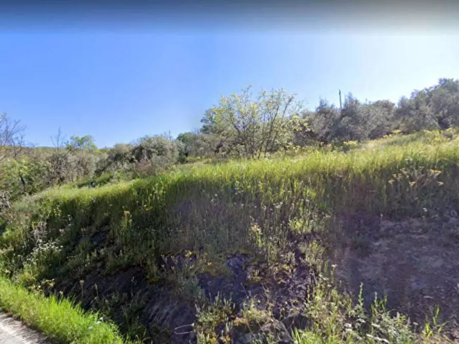 Immagine 2 di Terreno in vendita  in Via dei Mandorli a Panicale
