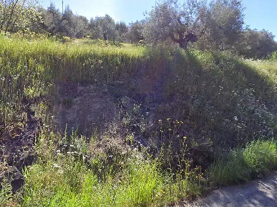 Immagine 3 di Terreno in vendita  in Via dei Mandorli a Panicale