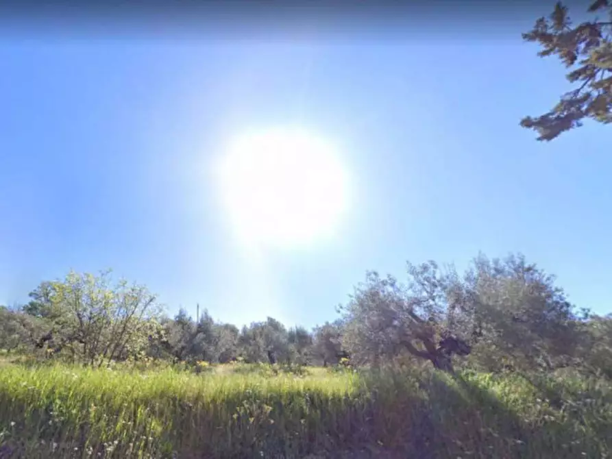 Immagine 4 di Terreno in vendita  in Via dei Mandorli a Panicale