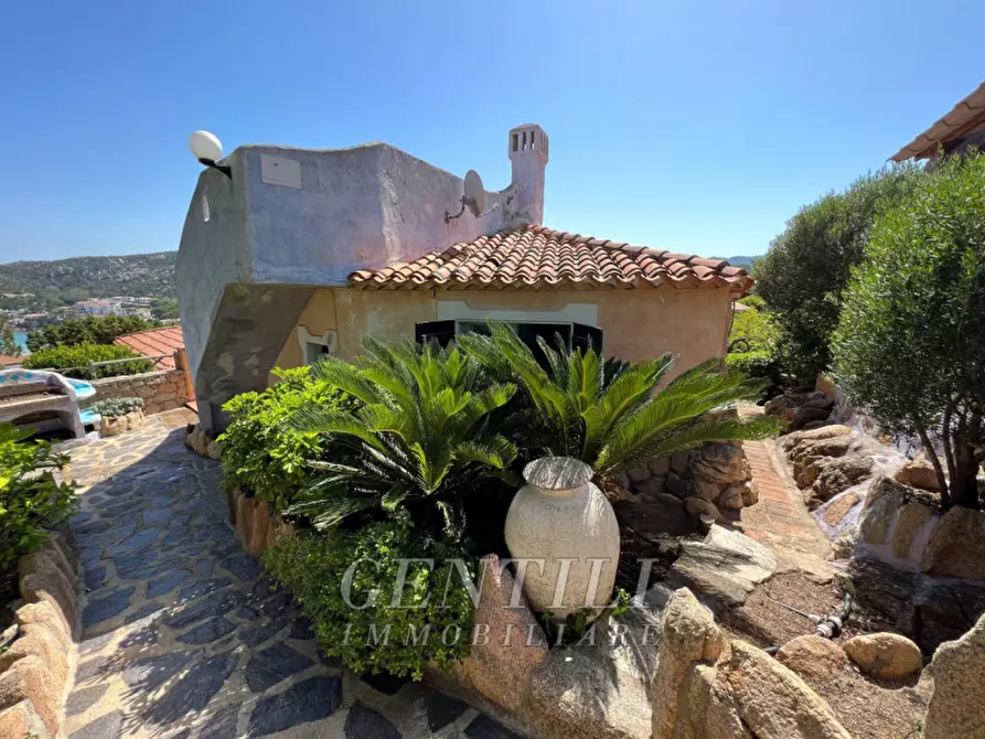 Immagine 3 di Villa in vendita  a Arzachena