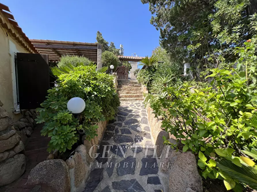Immagine 4 di Villa in vendita  a Arzachena