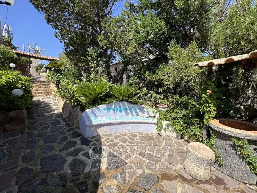 Immagine 6 di Villa in vendita  a Arzachena