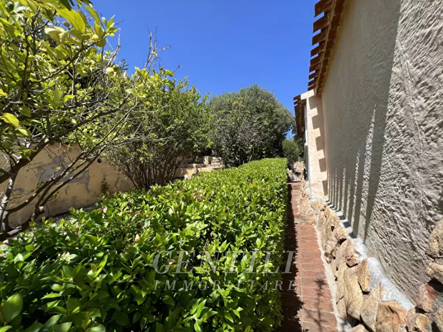 Immagine 23 di Villa in vendita  a Arzachena
