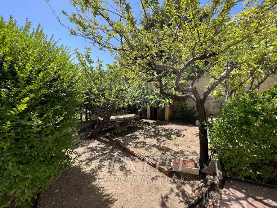 Immagine 24 di Villa in vendita  a Arzachena