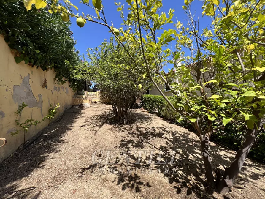 Immagine 25 di Villa in vendita  a Arzachena