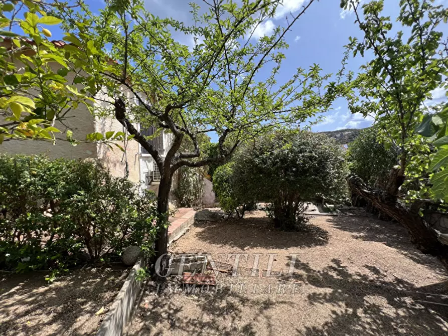 Immagine 26 di Villa in vendita  a Arzachena