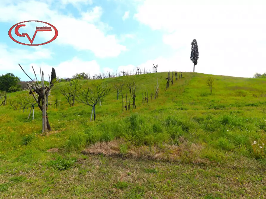 Immagine 42 di Casa indipendente in vendita  in Botriolo a Castelfranco Piandiscò