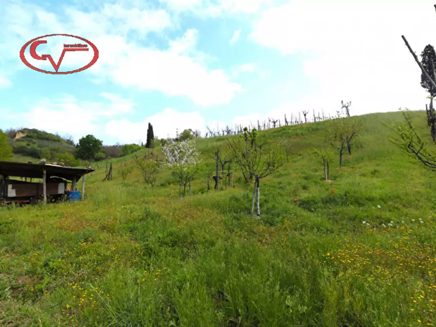 Immagine 43 di Casa indipendente in vendita  in Botriolo a Castelfranco Piandiscò