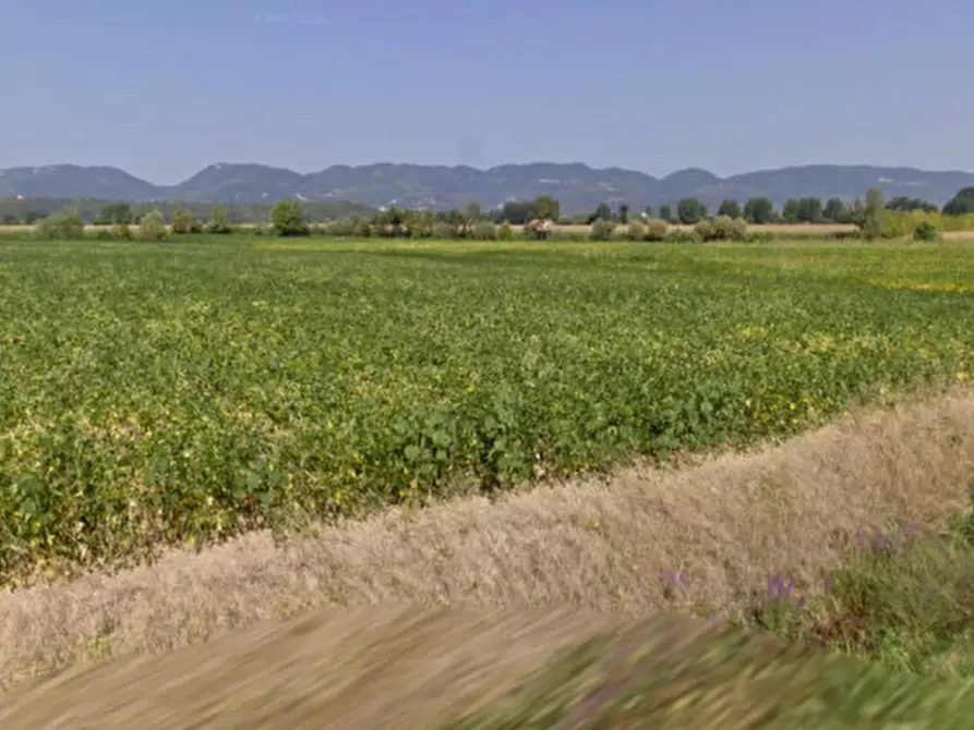 Immagine 2 di Terreno in vendita  in Via Buse a Barbarano Mossano