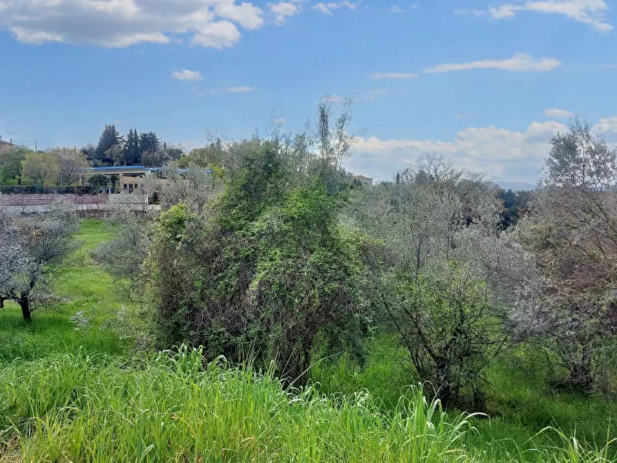 Immagine 4 di Terreno in vendita  in Via Edmondo De Amicis, N. snc a Montefalco