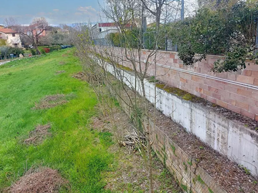 Immagine 7 di Terreno in vendita  in Via Edmondo De Amicis, N. snc a Montefalco