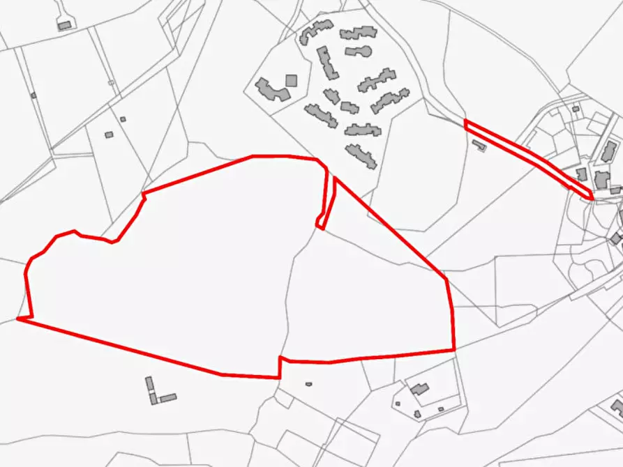 Immagine 2 di Terreno in vendita  in Via Edmondo De amicis - SP 445, N. snc a Montefalco