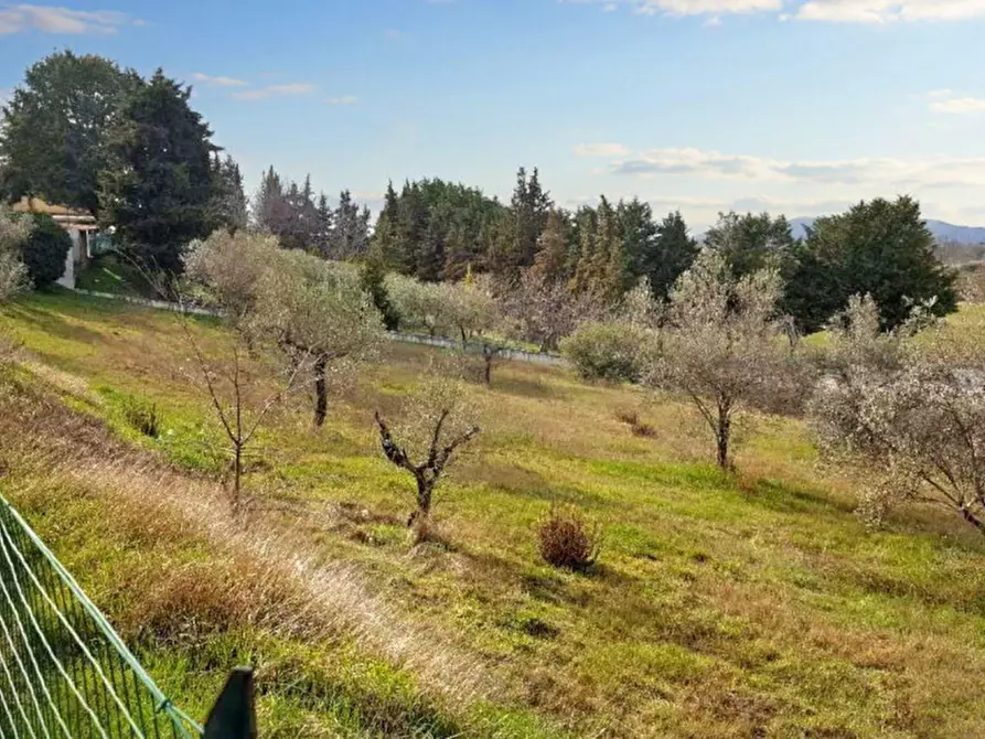 Immagine 3 di Terreno in vendita  in Via Edmondo De amicis - SP 445, N. snc a Montefalco
