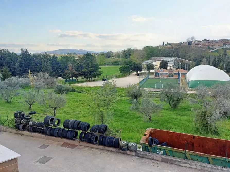 Immagine 5 di Terreno in vendita  in Via Edmondo De amicis - SP 445, N. snc a Montefalco