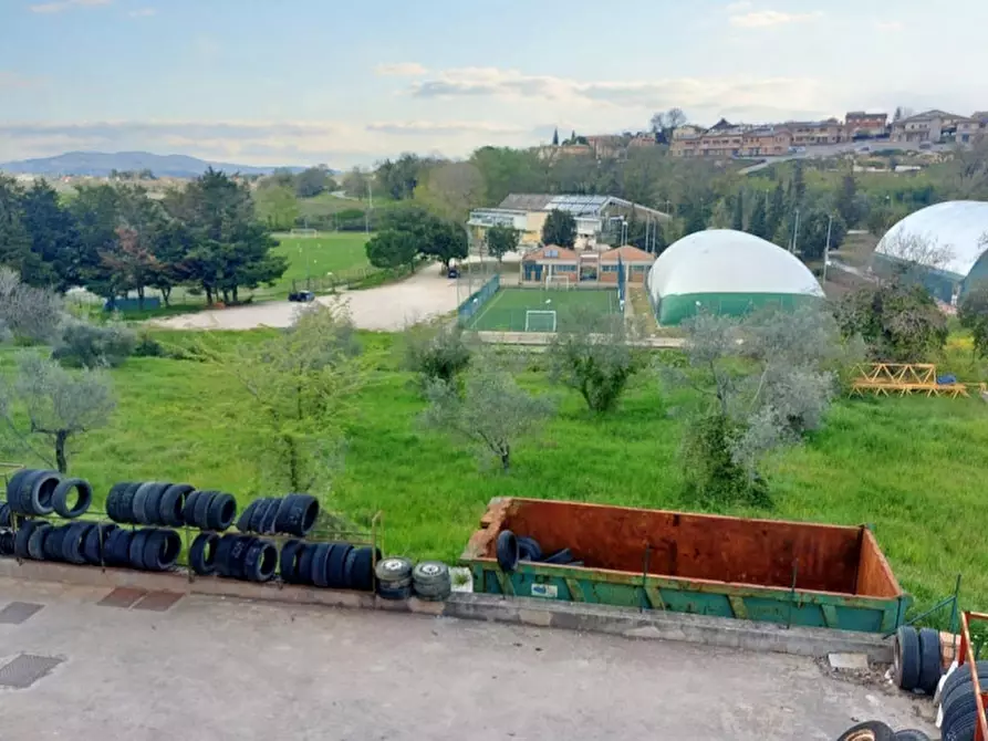 Immagine 6 di Terreno in vendita  in Via Edmondo De amicis - SP 445, N. snc a Montefalco