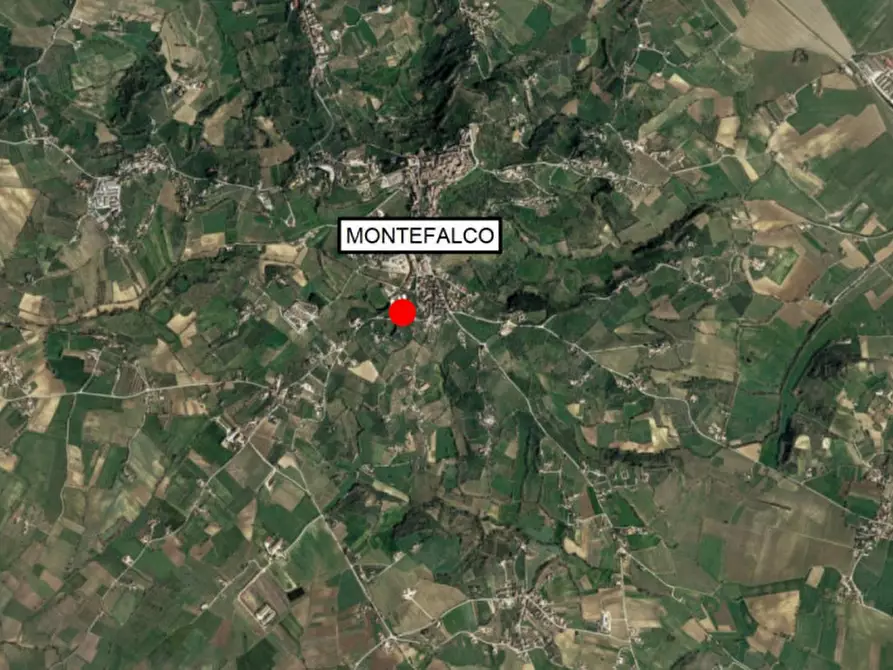 Immagine 16 di Terreno in vendita  in Via Edmondo De amicis - SP 445, N. snc a Montefalco