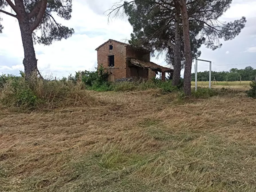 Immagine 12 di Rustico / casale in vendita  a Castiglione Del Lago