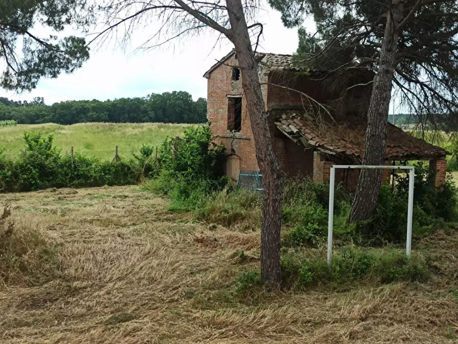 Immagine 13 di Rustico / casale in vendita  a Castiglione Del Lago