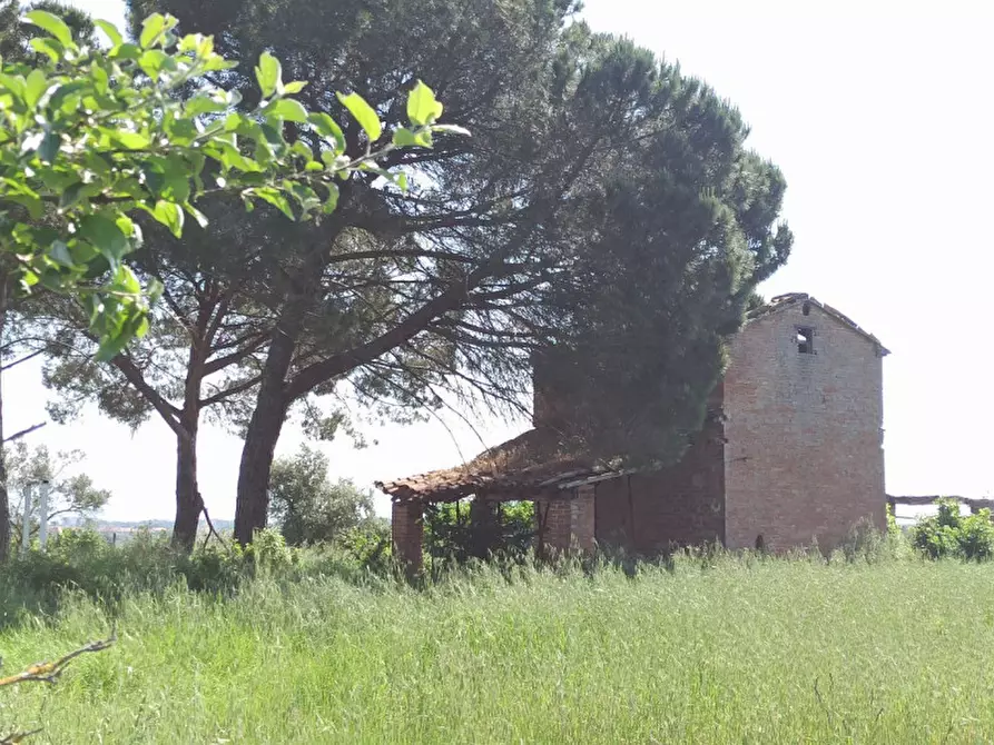 Immagine 14 di Rustico / casale in vendita  a Castiglione Del Lago