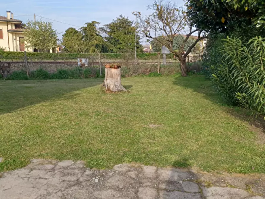 Immagine 3 di Casa indipendente in vendita  a Castagnaro