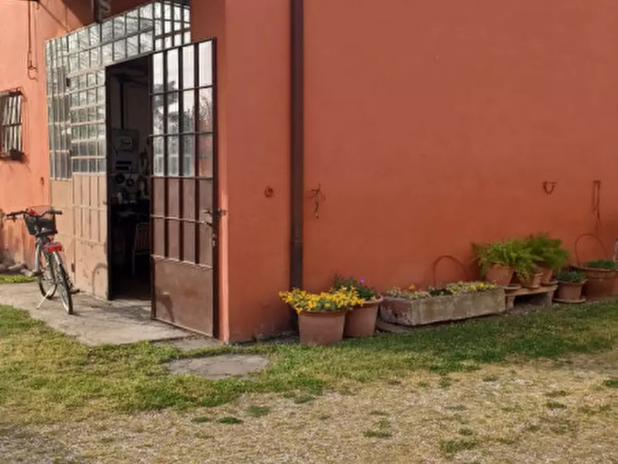 Immagine 8 di Casa indipendente in vendita  a Castagnaro