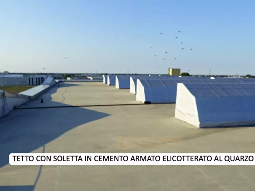 Immagine 6 di Capannone industriale in vendita  in VIA LUCIANO LAMA a Longiano