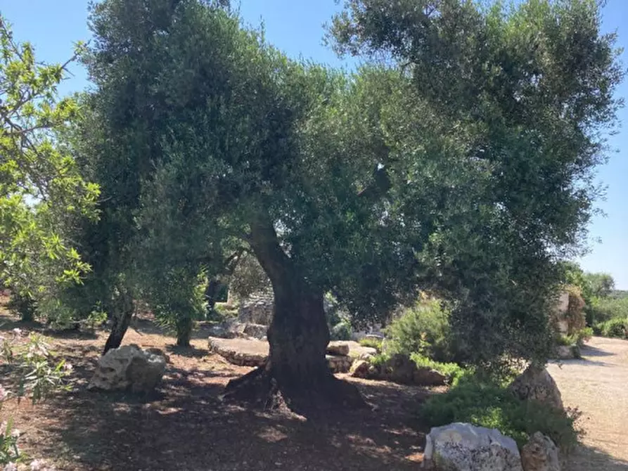 Immagine 1 di Rustico / casale in vendita  in contrada Genovese a Ceglie Messapico