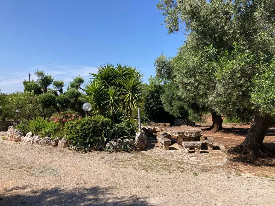 Immagine 17 di Rustico / casale in vendita  in contrada Genovese a Ceglie Messapico