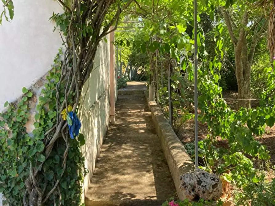 Immagine 24 di Rustico / casale in vendita  in contrada Genovese a Ceglie Messapico