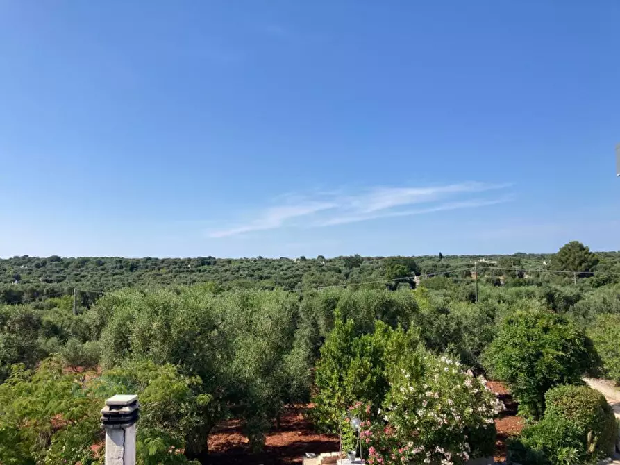 Immagine 26 di Rustico / casale in vendita  in contrada Genovese a Ceglie Messapico