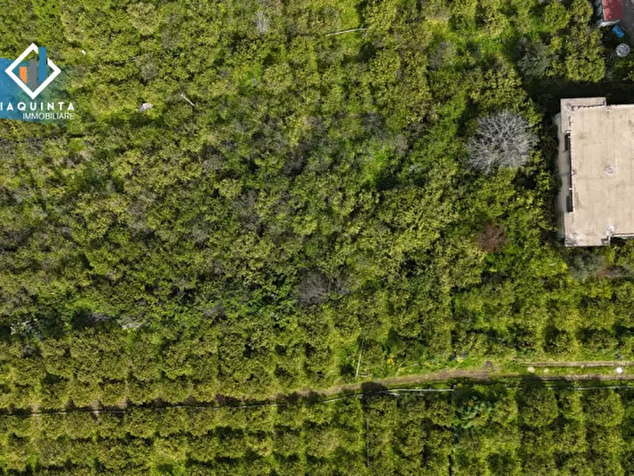 Immagine 14 di Magazzino in vendita  in Via Ugo La Malfa snc a Palagonia