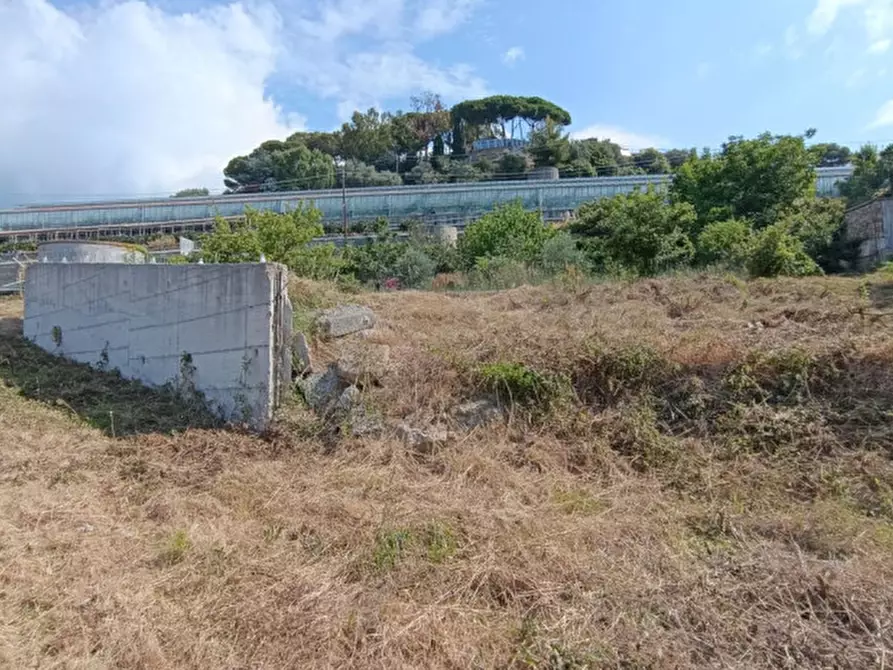 Immagine 8 di Casa indipendente in vendita  in Via Gabriele d'Annunzio a San Remo