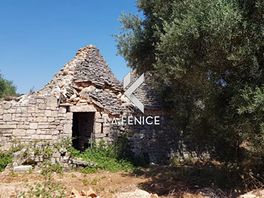 Immagine 3 di Rustico / casale in vendita  in contrada Pastore a Martina Franca