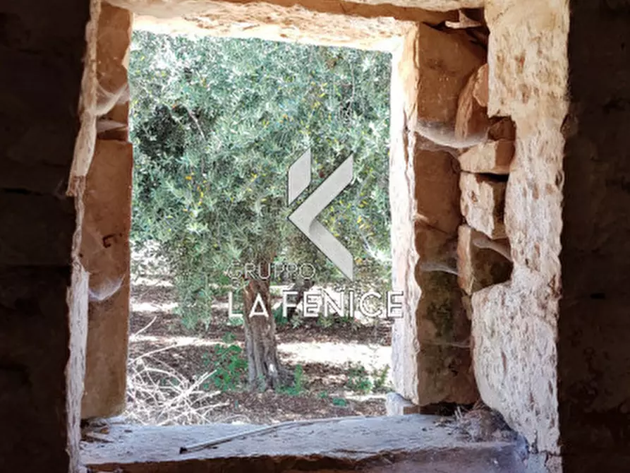 Immagine 5 di Rustico / casale in vendita  in contrada Pastore a Martina Franca
