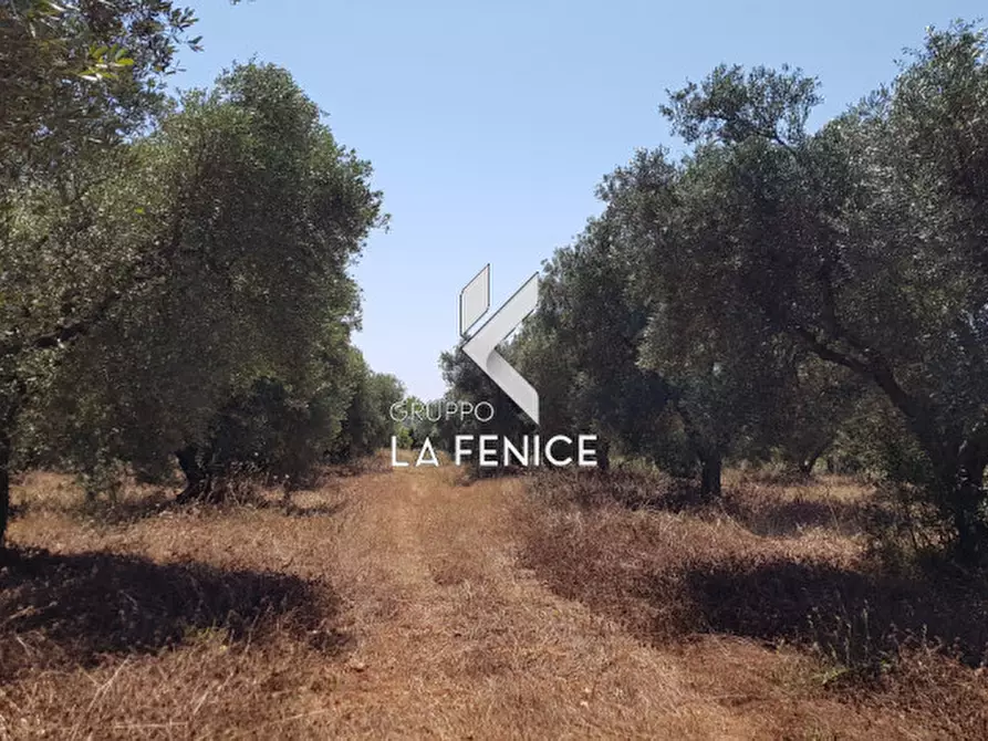 Immagine 8 di Rustico / casale in vendita  in contrada Pastore a Martina Franca