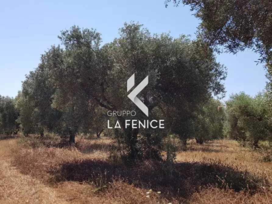 Immagine 9 di Rustico / casale in vendita  in contrada Pastore a Martina Franca