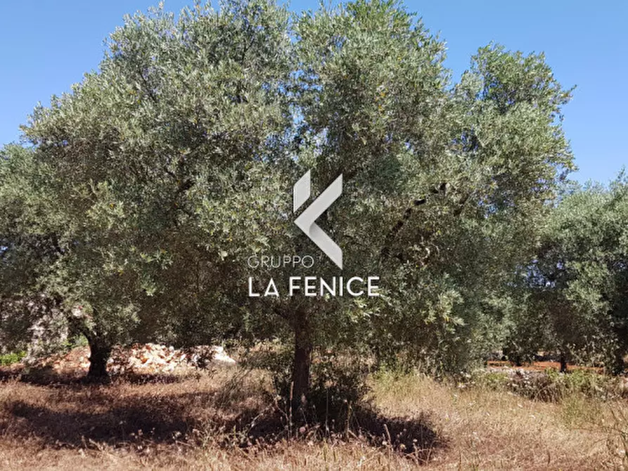 Immagine 10 di Rustico / casale in vendita  in contrada Pastore a Martina Franca