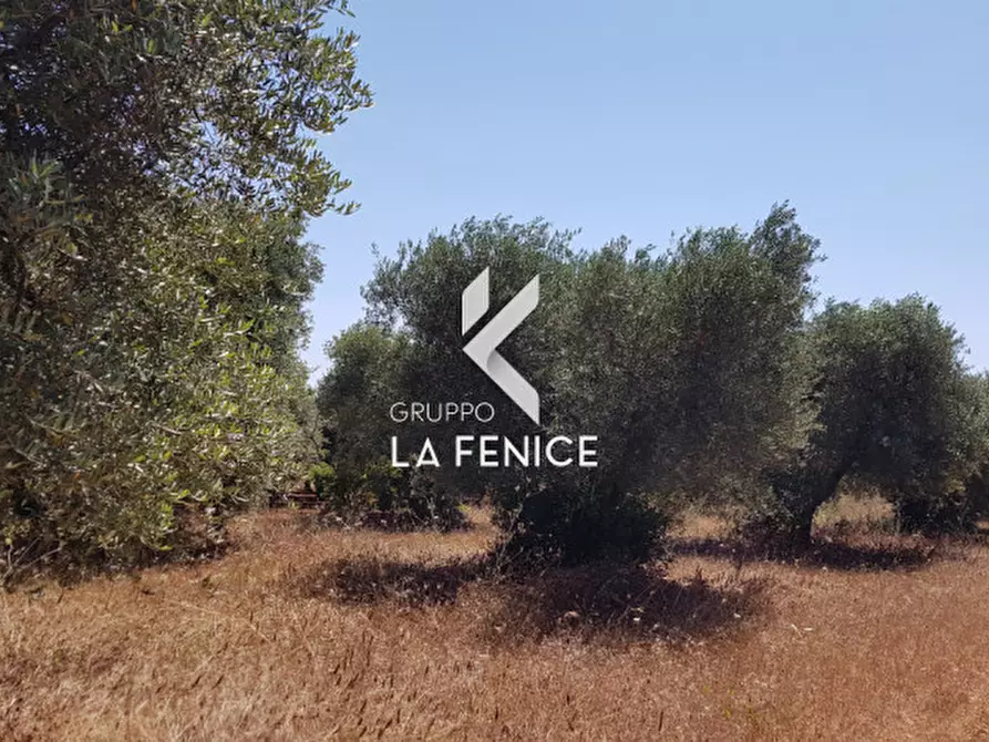 Immagine 11 di Rustico / casale in vendita  in contrada Pastore a Martina Franca