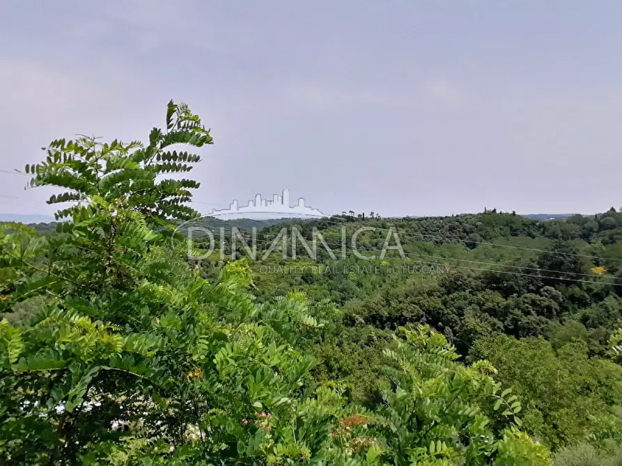 Immagine 29 di Villa in vendita  a Montopoli In Val D'arno